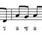 ��͸Ժ��: http://prathom.swu.ac.th/485204/note/recorder6/02_sunflower/02_sunflower_r8_c6.jpg