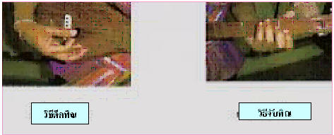͸Ժ: http://std.kku.ac.th/4632200551/pin3.h2.jpg