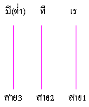 ͸Ժ: http://std.kku.ac.th/4632200551/pin4.h8.gif